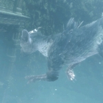 The Last Guardian